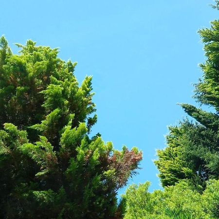 Cabana Do Sol Torres Vedras Εξωτερικό φωτογραφία