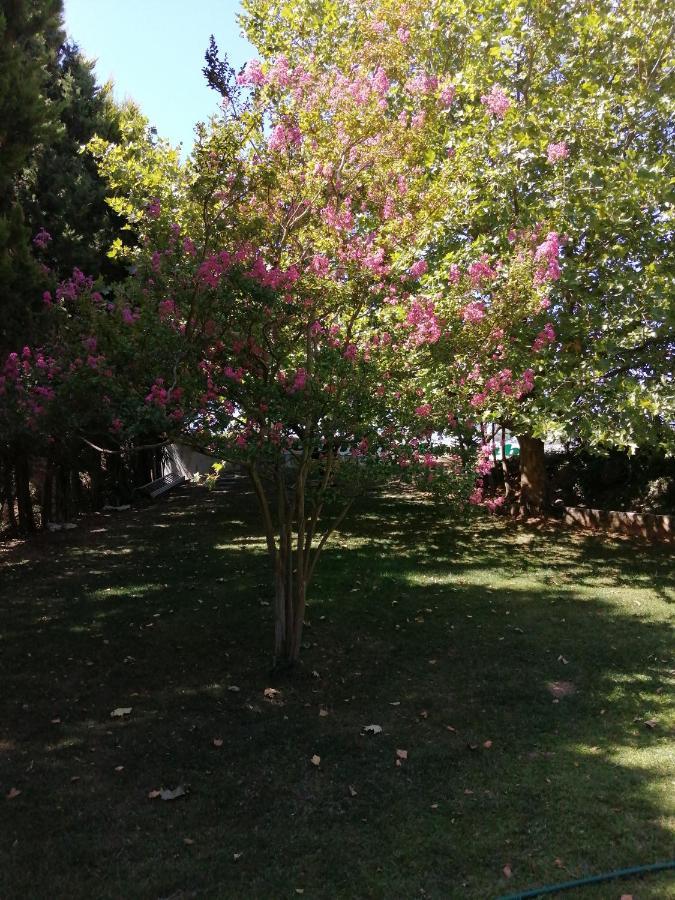 Cabana Do Sol Torres Vedras Εξωτερικό φωτογραφία