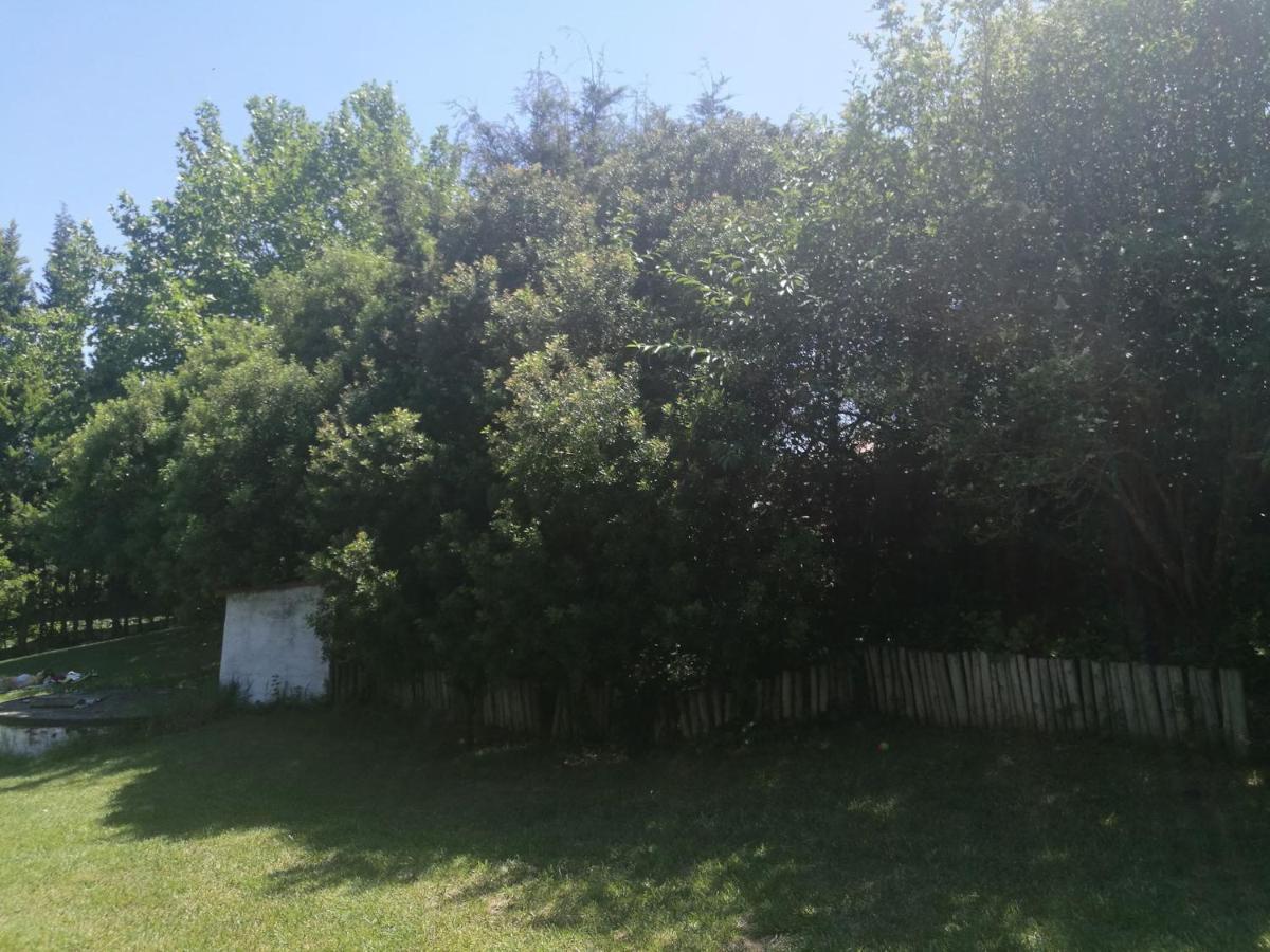 Cabana Do Sol Torres Vedras Εξωτερικό φωτογραφία